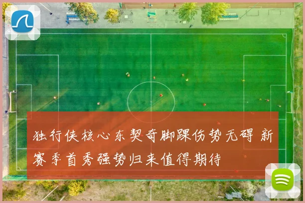 独行侠核心东契奇脚踝伤势无碍 新赛季首秀强势归来值得期待